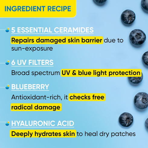 DOT & KEY Dot&Key Blueberry Hydrate Barrier Repair Sunscreen Spf 50+Pa++++